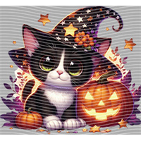 Halloween-WS 5732
